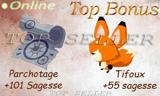 Boune : Kit Parchotage +101 sagesse + Tifoux +55 sagesse + Dofus cawotte +50 sagesse + Top Bonus