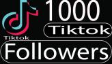 Tiktok followers