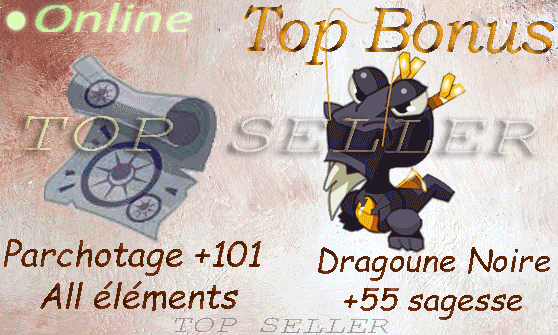 Boune : kit parchotage +101 tout les elements + dragoune Noire +55 sagesse + Top bonus - livraison 5 minutes
