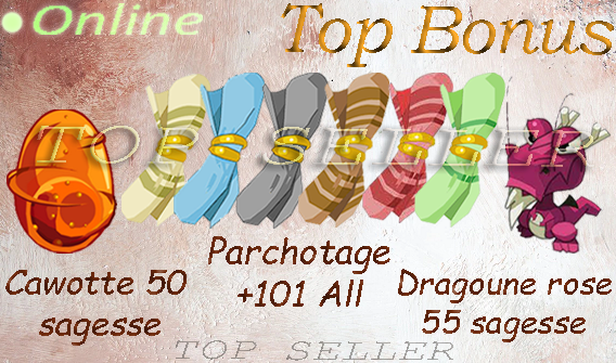 Boune : Kit Parchotage +101 All elements + Dofus cawotte +50 sagesse + Dragoune rose +55 sagesse + 2M Kamas + Bonus - Fast Delivery