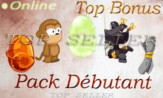 Kit Debutant : Dragoune noire 55 sagesse + parchotage +101 sagesse + Nomoon +90 pp + Kaliptus +30 pp + Top Bonus - livraison 5 minutes