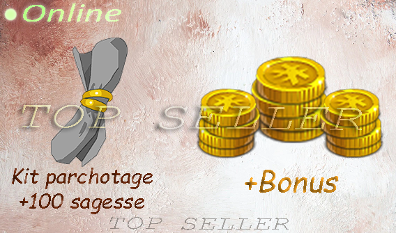 Salar : parchotage + 100 Sagesse + Top bonus - livraison 5 minutes