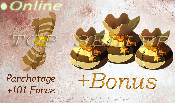 Kit Parchotage +101 Force + 1.000 000 kamas  + Bonus - livraison 5 minutes . [Boune.Top Seller ]