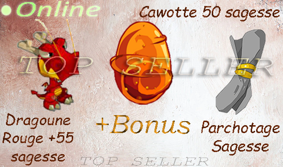 Dofus cawotte 50 sagesse + dragoune rouge +55 sagesse + parchotage + 101 sagesse + bonus - livraison 5 minutes