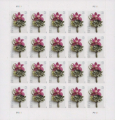 Contemporary Boutonniere Flower Forever Postage Stamps