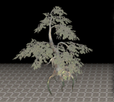 [PC-NA]Fabricant Tree, Beryl Cypress*1=870Crowns
