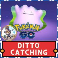2 x Ditto Catching Service
