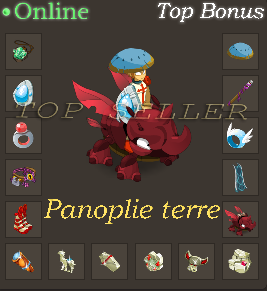 Panoplie terre lvl 120 + Parchotage +100 sagesse + Parchotage +100 force + Top Bonus - livraison 5 minutes - orukam