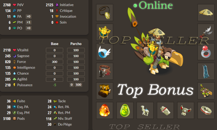 [ imagiro . Top Seller] : Panoplie Terre opti lvl 120 + Top Bonus - Delivery time : 1 minute 