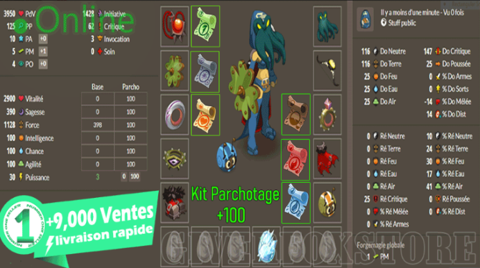 Talkasha>[ Set Terre Pour personnage Niveau 200 ] + Kit parchotage +100 All elements - Livraison Rapide