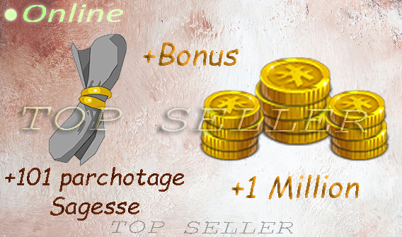 Boune : +101 Parchotage Sagesse + 1 000 000 kamas + bonus - Delivery 5 minutes