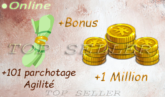 Boune : +101 Parchotage Agilite+ 1 000 000 kamas + bonus - Delivery 5 minutes