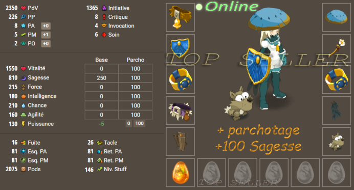Draconiros : Panoplie +800 Sagesse Complet Lvl (150 a 190) + Parchotage Sagesse + Top bonus - Delivery 5 minutes