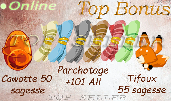 Boune : kit parchotage 101 all Elements + dofus cawotte 50 en sagesse + Tifoux 55 Sagesse + bonus - Delivery 5 minutes