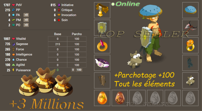 Panoplie 730 sagesse ( lvl 120-180 ) + Parchotage 100 All elements 10.000.000 Kamas + Bonus - livraison 5 minutes
