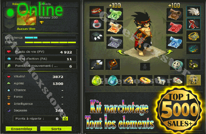 Imagiro>[ Panoplies Agilite Opti Niveau 200 pour tout les classes (Complet) ] + Kit Parchotage 100 tout les Elements