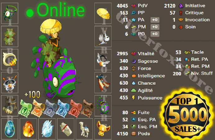 Tylezia>[ Panoplie Niveau 200 multi Opti 11P-A 6PM 6PO ] +10  M kamas + Kit parchotage tout les elements