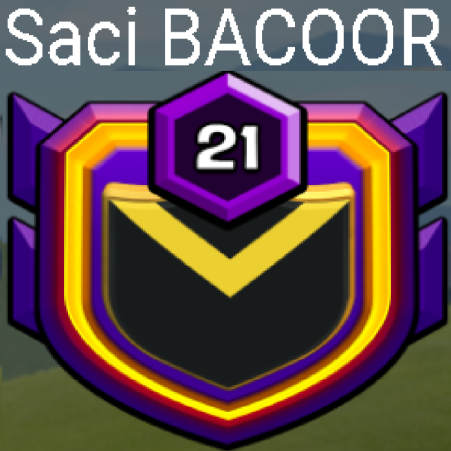 LEVEL 21 CLAN INSTANT DELIVERY