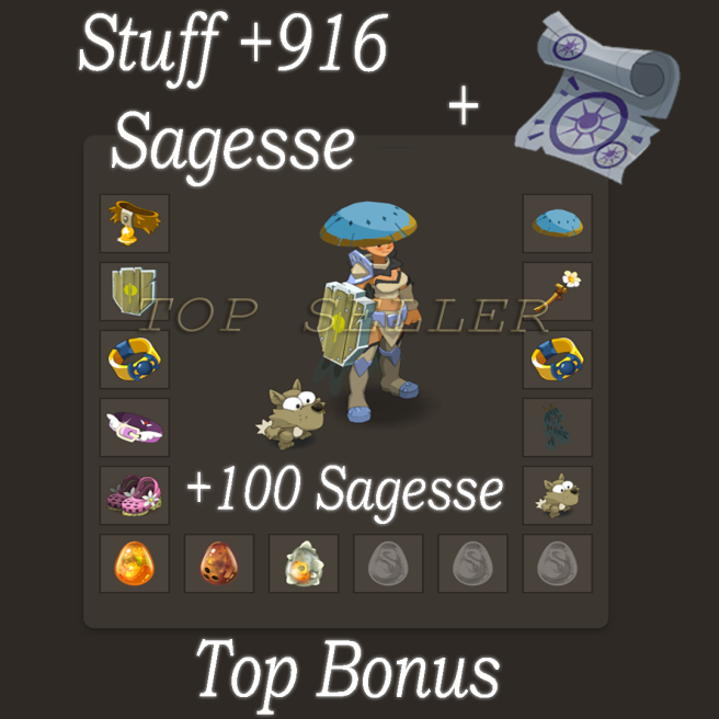 Hellmina : Stuff +916 sagesse + Kit parchotage 100 Sagesse + Top bonus - livraison 5 minutes 