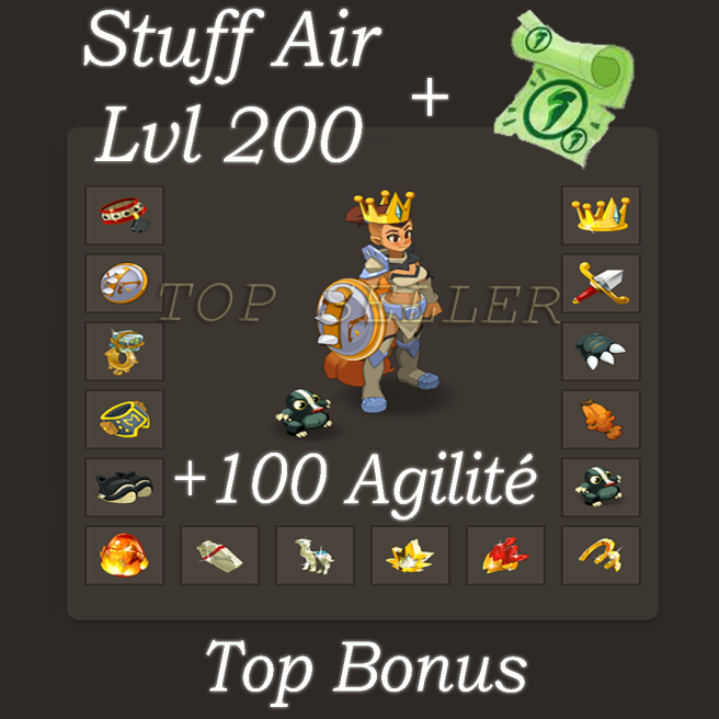 Draconiros : Stuff Air lvl 200 tres bon jet + Kit parchotage 100 Agilite + Top bonus - livraison 5 minutes