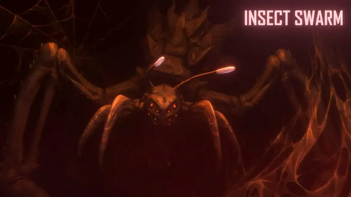 Insect Swarm