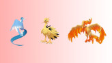 Trade || 01 SHINY GALARIAN BIRD | Legendary Pokemon | Stardust required: 20K or 1M