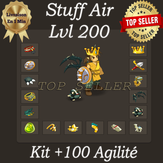 Stuff Feca opti Air Lvl 200 - 1400 Agilite / 11 Pa / 6 Pm / 5 Po / 175 Do Air - imagiro