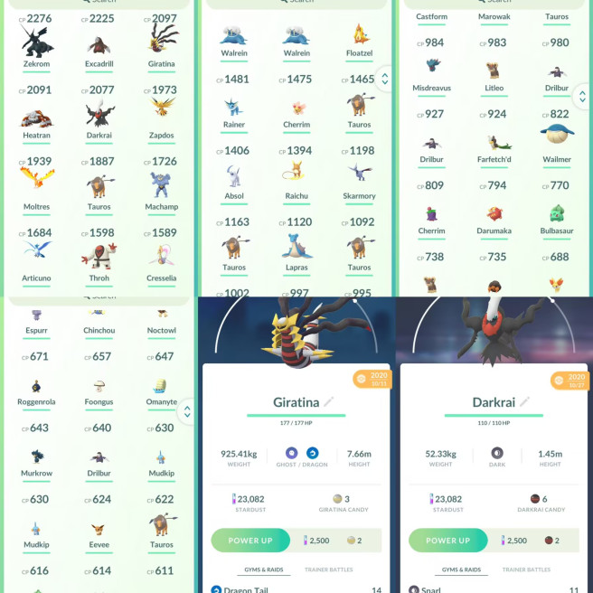 lvl24,have Legendary Zekrom Giratina Heatran Zapdos Moltres Articuno Cresselia,some nice pokemons N8426
