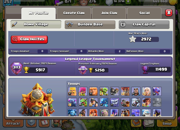 T8-TH16-Nice 10 Pets-XP 257-BK90 AQ95 GW70 RC45-Minion 70-Good Hero Equipment-Nice Troops-Good Wall-Have Magic Items-Some Skins Hero