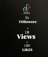 Tiktok +1.000.000 Views +5 000 followers + 10.000 likes fast service