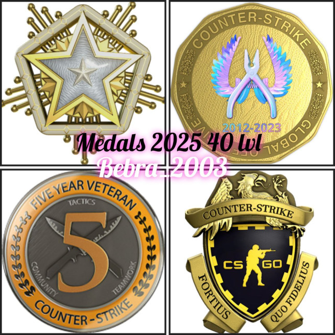 CS2 Prime+5Medals(Loyalty Badge/5 Year Veteran Coin/Global Offensive Badge/2024 Service Medal)2025 service medals-will give at the entrance