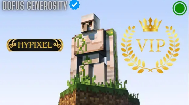 VIP Account Hypixel（Random Level and Items）MINECRAFT JAVA Edition 
