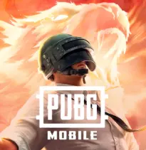 PUBG GLOBAL ( Level 20)EUROPE SERVER/Full Access