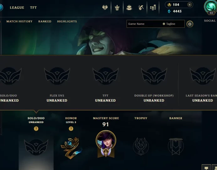 ME EMAIL CHANGEABLE 128 CHAMPIONS 112 SKINS SPG UDYR Riot Girl Tristana And more 23 Little legends URF HOLIDAY NASHOR AND MORE RARE ICONS