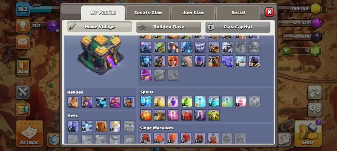 Th 14 / LeveL 163 / Gems 12 / Heroes (57 67 41 41 11) / CN 1500 / code 335
