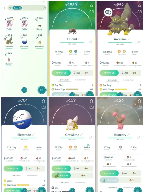 p96~40 LVL~2 Shiny Palkia~900k Stardust~5 Legendary~7 Shiny~Dialga 3k~Palkia~Shiny Arcanine~Yellow Team~Best Starter