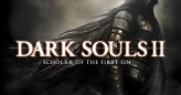 【STEAM】Dark Souls II Account | Full Access | Change Data | FAST DELIVERY