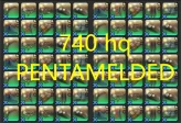 COMBAT - PENTAMELDED - Any job HQ i740 / ilvl 740 Ceremonial Gear - ALL SERVERS (EU, NA, JP, OCE)