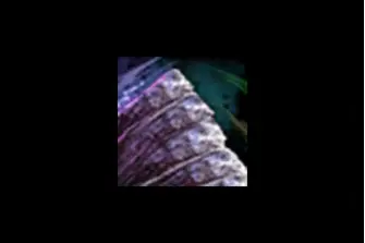 Amalgamated Gemstone *100