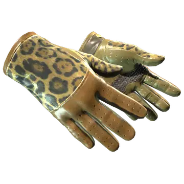 Driver Gloves | Queen Jaguar (Minimal Wear)