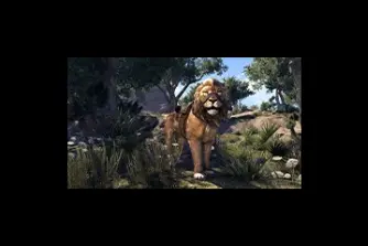 EU - PC > Mounts > Pride-King Lion