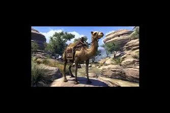 EU - PC > Mounts > Hammerfell Camel