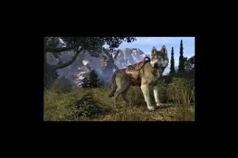 EU - PC > Mounts > Highland Wolf