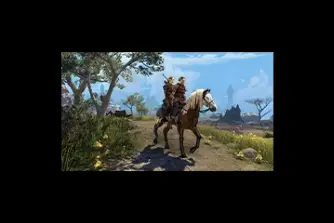 EU - PC > Mounts > Skingrad Pillion Courser