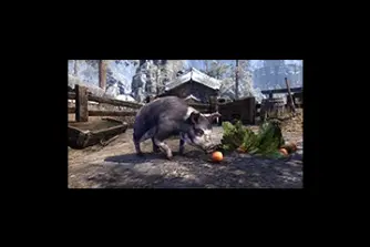EU - PC > Non-combat Pets > Psijic Domino Pig