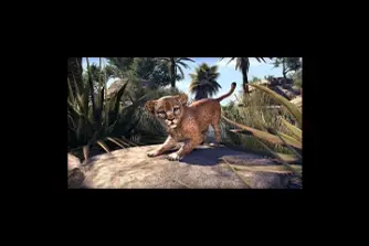 EU - PC > Non-combat Pets > Senche-Lion Cub