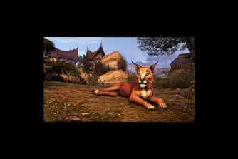 EU - PC > Non-combat Pets > Desert Lynx