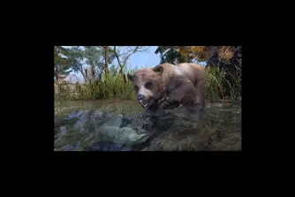 EU - PC > Non-combat Pets > Cave Bear Cub