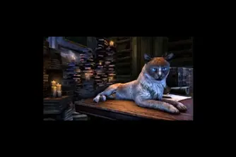 EU - PC > Non-combat Pets > Prong-Eared Grimalkin