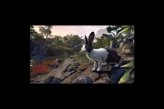 EU - PC > Non-combat Pets > Pale Pass Mountain Hare